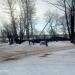 Строящееся кафе в городе Череповец