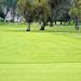 El Cariso Golf Links in Los Angeles, California city