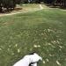 Knollwood Country Club Golf Course in Los Angeles, California city