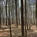 William B. Umstead State Park in Raleigh, North Carolina city