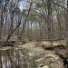 William B. Umstead State Park in Raleigh, North Carolina city