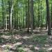 William B. Umstead State Park in Raleigh, North Carolina city