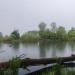 Teich (de) in Düsseldorf city