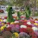 răzor de flori (ro) в городе Кишинёв