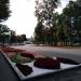 Клумба вдоль центральной аллеи в городе Харьков
