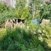 Заброшенные сараи и хозблоки (ru) in Moscow city