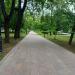 Левашовский бульвар в городе Петрозаводск