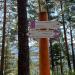 Смотровая площадка в городе Красноярск