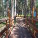 Площадка для отдыха в городе Красноярск