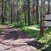 Развилка троп в городе Красноярск