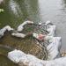 Декоративный водопад в городе Москва