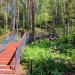 Утес Моховой с иконой Спаса Нерукотворного в городе Красноярск