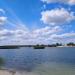 Ocheretianyi Island (en) в городе Безлюдовка