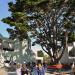 Katherine Delmar Burke School in San Francisco, California city
