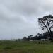 Crissy Field in San Francisco, California city
