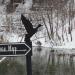 Устье реки Кур в городе Курск