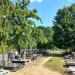 Graveyard