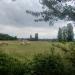 Im Anner Kamm in Stadt Bergisch Gladbach