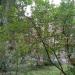 ул. Пушкина, 48 в городе Рязань