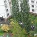 Два высоких пирамидальных тополя в городе Москва