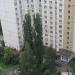 Два высоких пирамидальных тополя в городе Москва