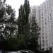 Два высоких пирамидальных тополя в городе Москва