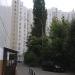Два высоких пирамидальных тополя в городе Москва