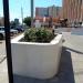 Flower bed in Homieĺ city