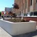 Flower bed in Homieĺ city