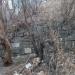 Участок старой подпорной стены в городе Владивосток
