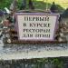Первый в Курске ресторан для птиц в городе Курск