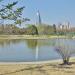 Пруд (ru) in Pyongyang city
