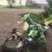 Детская площадка в городе Выборг