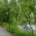 Пруд в городе Киров