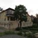 Чёрный орех в городе Сочи