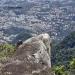 Pedra do Anu (pt)