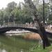 a bridge in Lopatinsky garden in Smolensk city