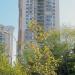 My Towerland 3377-1B Blok (tr) in Istanbul Metropolitan Municipality city