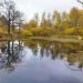 Пруд в городе Калуга