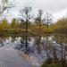 Пруд в городе Калуга
