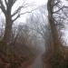 Holle weg