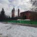 Газон в городе Москва