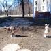 Sculptures (en)