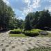 Клумба в городе Рязань