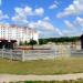 Территория храма иконы Божией Матери «Юровичская - Милосердная» (ru) in Homieĺ city