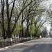 просп. Карла Маркса в городе Каменск-Шахтинский