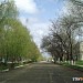 ул. Ленина в городе Изобильный
