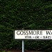 Gossmore Walk in Marlow city