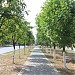 просп. Максима Горького в городе Чебоксары