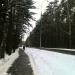 9-я Чоботовская аллея в городе Москва